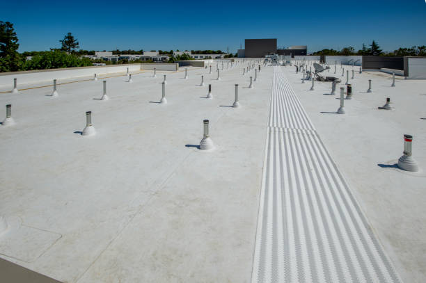 Best Roof Moss and Algae Removal  in Benson, AZ